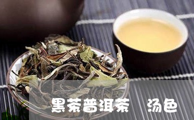 黑茶普洱茶 汤色/2023031650593